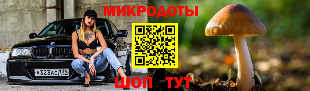 Галлюциногенные грибы Psilocybe Ликино-Дулёво
